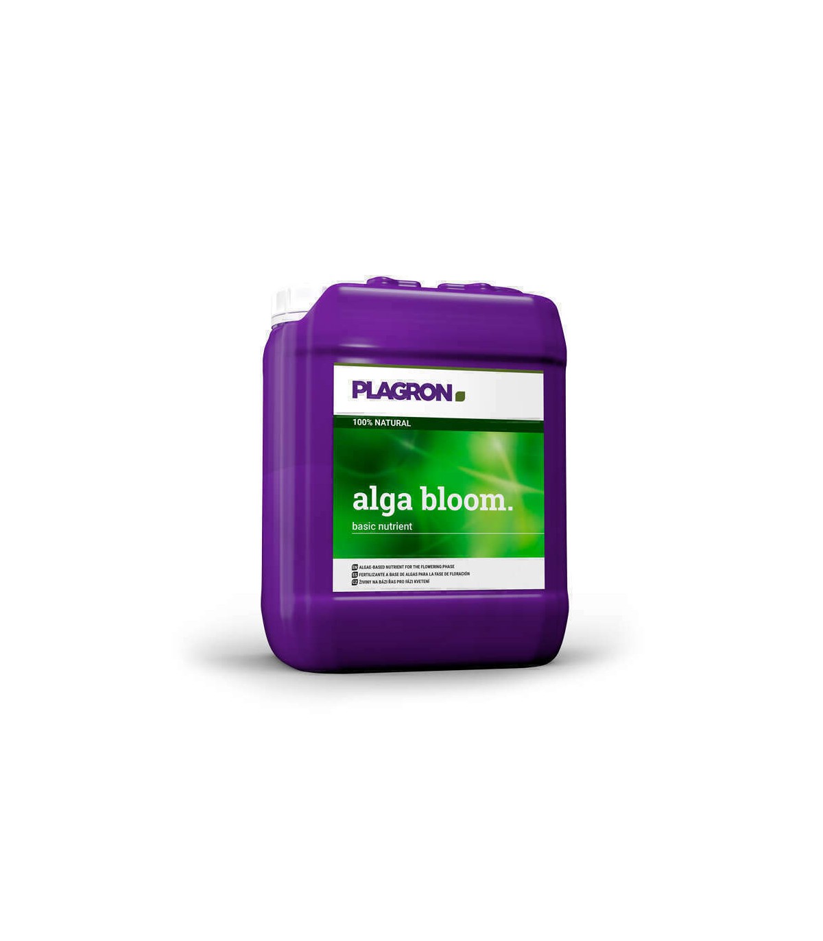 ALGA BLOOM PLAGRON