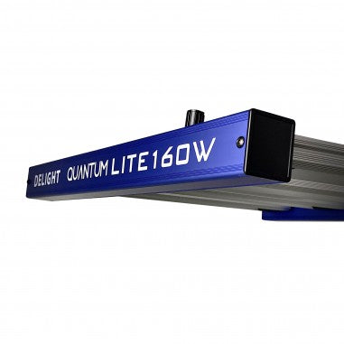 QUANTUM LITE 160W-DELIGHT