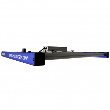QUANTUM LITE 240W-DELIGHT