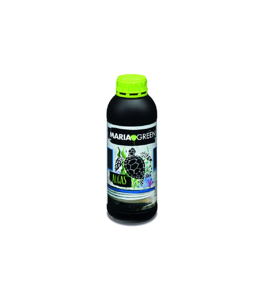 ALGAX 1L MARIA GREEN