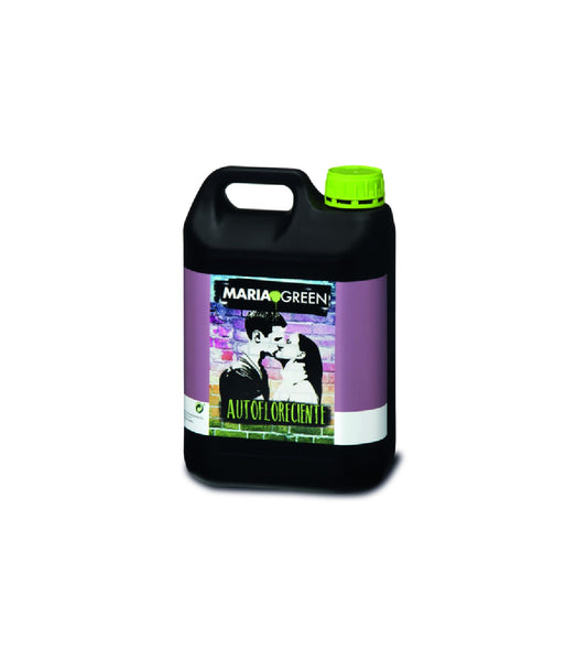 AUTOFLOW 5L MARIA GREEN