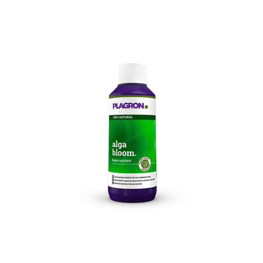 ALGA BLOOM PLAGRON