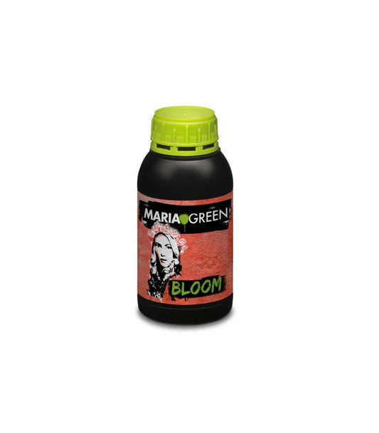 BLOOM 500ML MARIA GREEN
