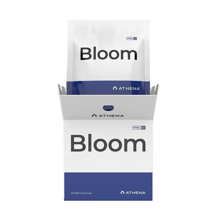 PRO BLOOM
