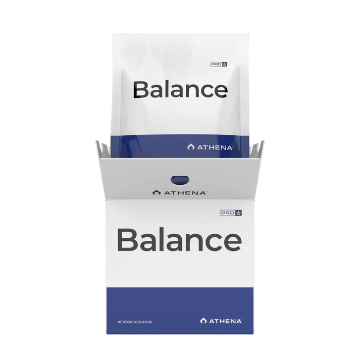BALANCE