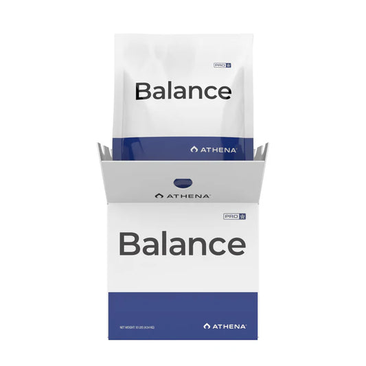 BALANCE