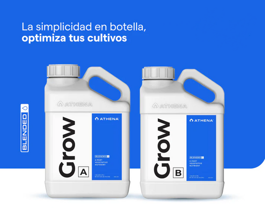 GROW A + B