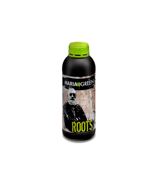 ROOTS 1L MARIA GREEN