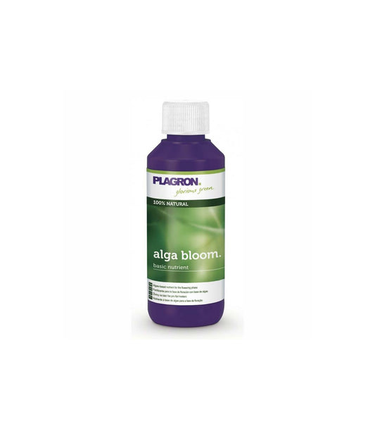 ALGA BLOOM PLAGRON