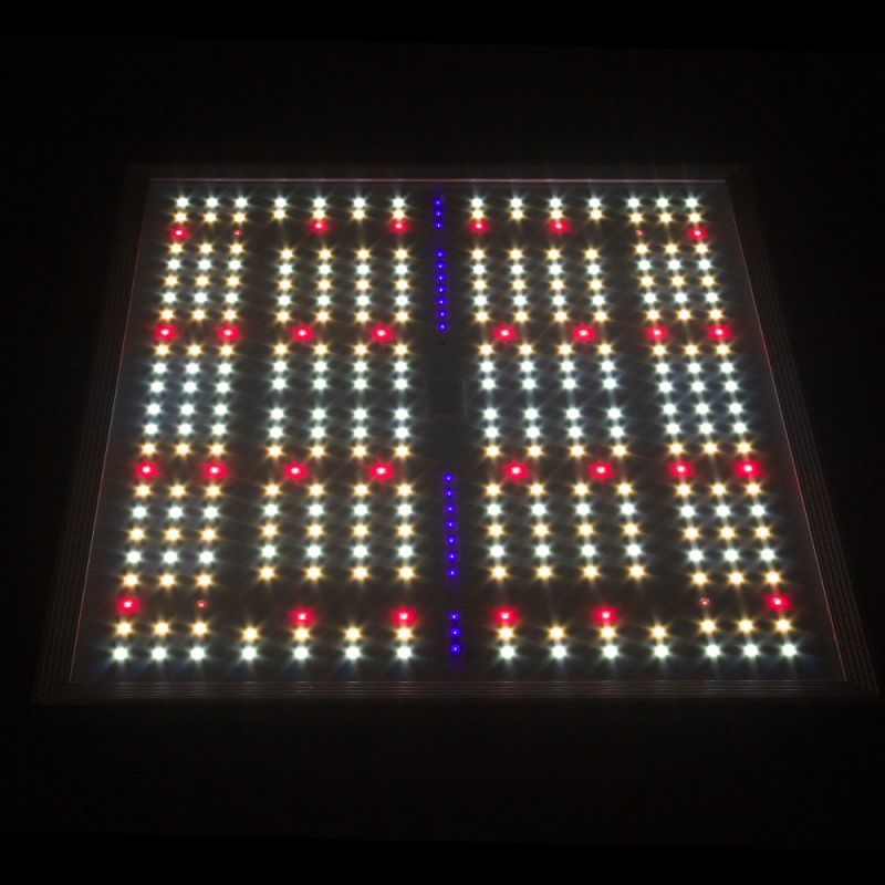 QUANTUM BOARD LED RG150 NANOLUX