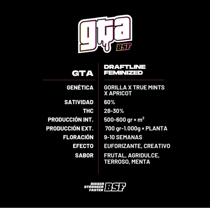 GTA 4UDS BSF SEEDS