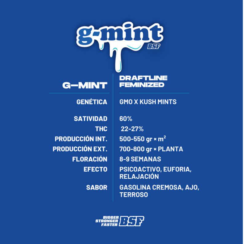 G-MINT 4UDS BSF SEEDS