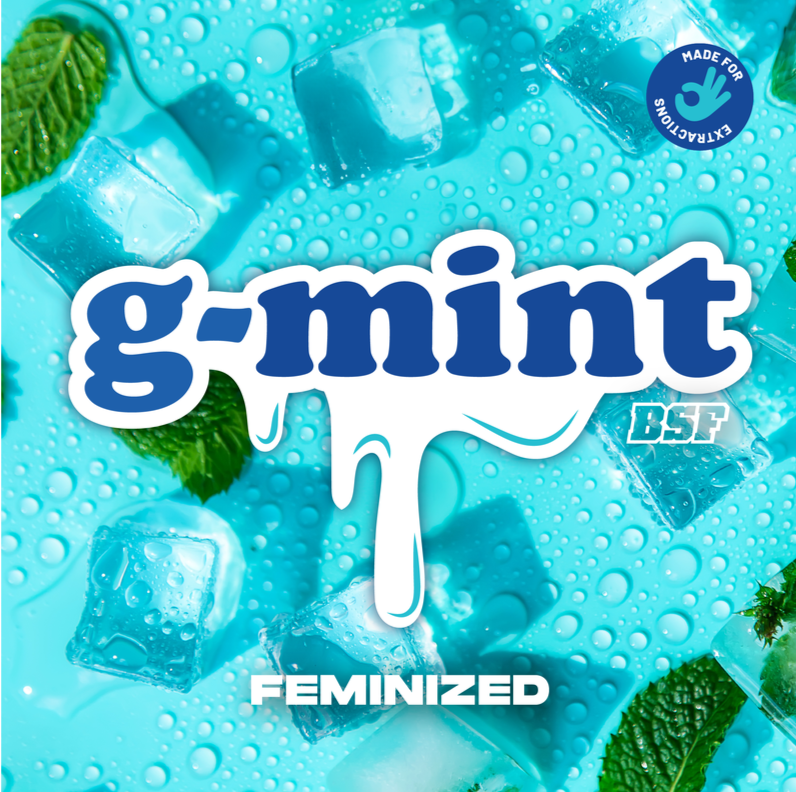 G-MINT 4UDS BSF SEEDS