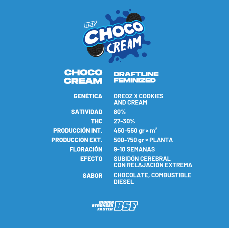 CHOCO CREAM 4UDS BSF SEEDS